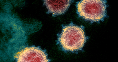 Coronavirus-460x241-c